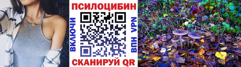 Псилоцибиновые грибы мухоморы  дарнет шоп  Абинск 
