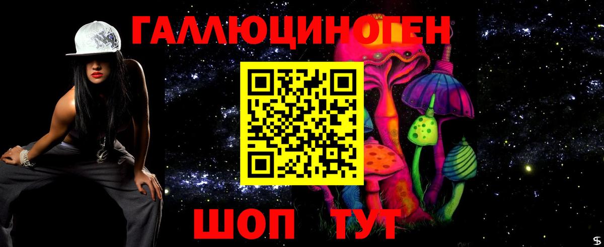 Галлюциногенные грибы Psilocybine cubensis  Вход с VPN  Абинск  где купить наркоту  Галлюциногенные грибы GOLDEN TEACHER 